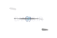 تصویر  الواتورپریوست پریچارد - فالکن