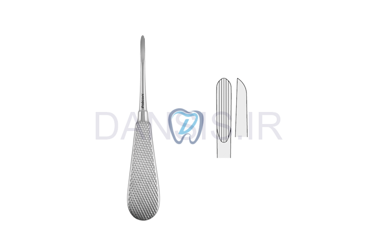 تصویر  الواتور فریدمن چپ و راست - فالکن