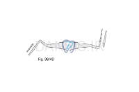 تصویر  بن فایل شوگرمن هالو - فالکن