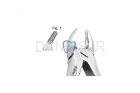 تصویر  فورسپس پرمولر بالا - فالکن