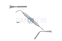 تصویر  پریوتوم - فالکن