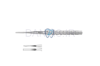 تصویر  استوتوم استخوان - فالکن