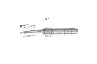 تصویر  چیزل اوشن بین - فالکن