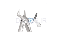 تصویر  فورسپس ریشه کش بالا - فالکن