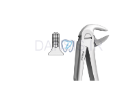 تصویر  فورسپس آناتومیک ریشه کش پایین - فالکن