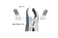 تصویر  فورسپس آناتومیک مولر بالا - فالکن