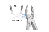 تصویر  فورسپس مولر بالا - فالکن