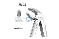 تصویر  فورسپس مولر پایین - فالکن