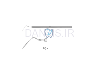 تصویر  هند اسپریدر - فالکن