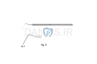 تصویر  هند پلاگر - فالکن