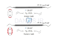 تصویر  کورت Columbia - فالکن