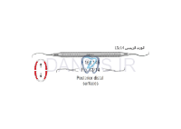 تصویر  گریسی هالو FIG.13/14 - فالکن