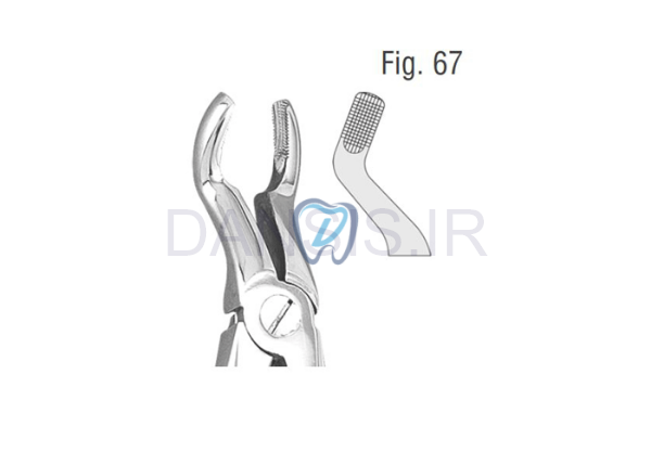 تصویر  فورسپس عقل بالا و پایین - کوشا