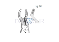 تصویر  فورسپس عقل بالا و پایین - کوشا