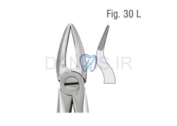 تصویر  فورسپس ریشه کش بالا باریک - کوشا