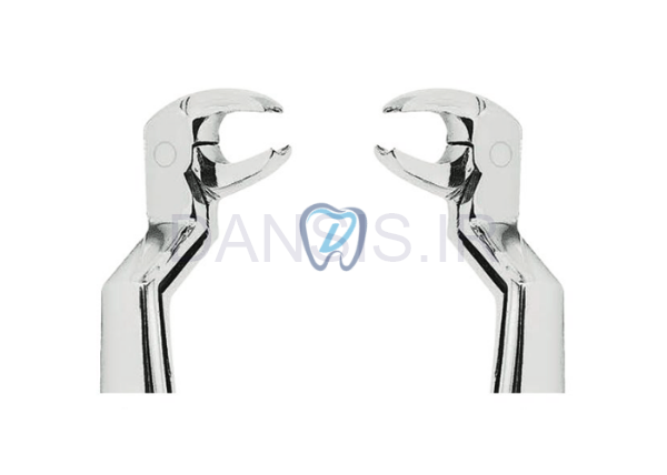 تصویر  فورسپس مولر پایین چپ و راست - کوشا