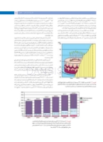 تصویر  پروتز ایمپلنت های دندانی میش 2015 ( گلاسه رنگی دوجلدی همراه با قاب)