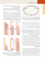 تصویر  پریودنتولوژی بالینی کارانزا 2019 جلد 3 (رنگی)