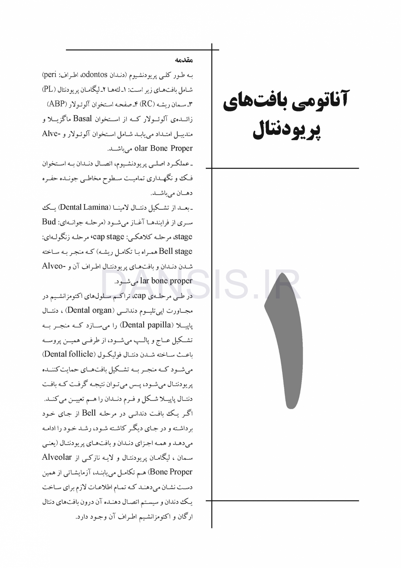تصویر  CDR پریودنتولوژی بالینی و ایمپلنتهای دندانی لینده 2015 (چکیده مراجع دندانپزشکی)