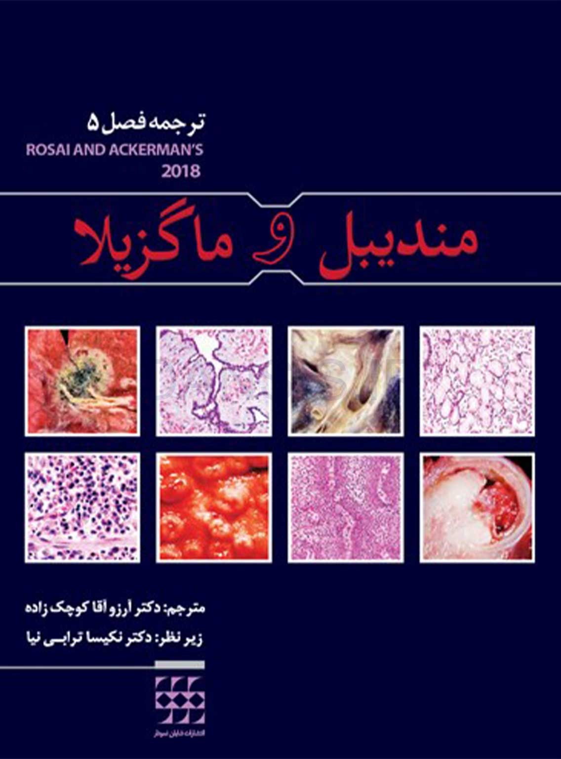 تصویر  مندیبل و ماگزیلا (ترجمه فصل 5 – آکرمن 2018)