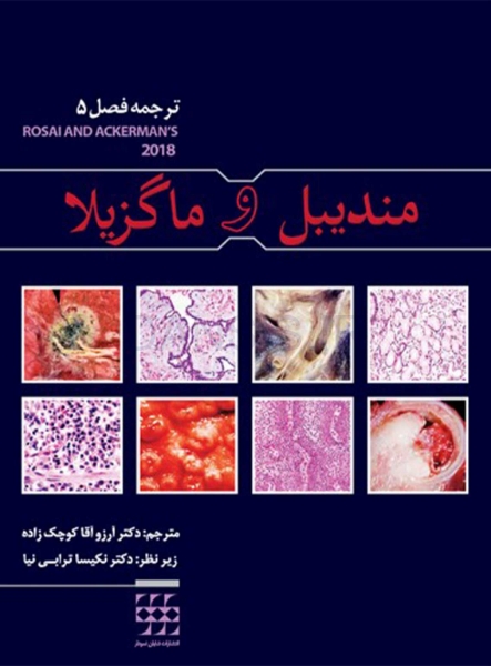 تصویر  مندیبل و ماگزیلا (ترجمه فصل 5 – آکرمن 2018)