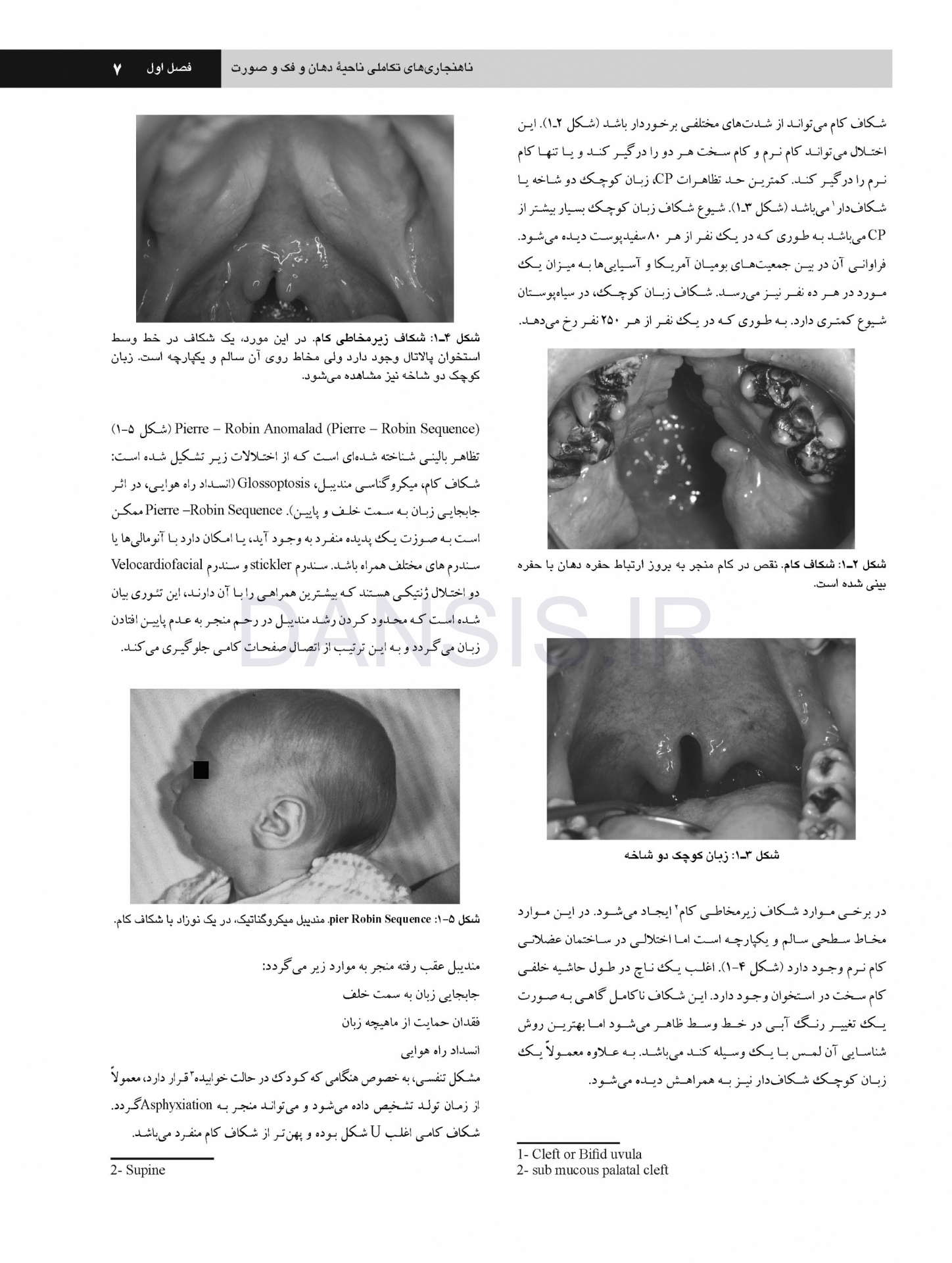 تصویر  پاتولوژی دهان، فک و صورت نویل 2016 جلد 1 (سیاه و سفید)