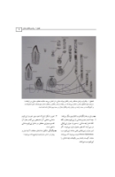 تصویر  بافت شناسی دهان و دندان (همراه با CD)
