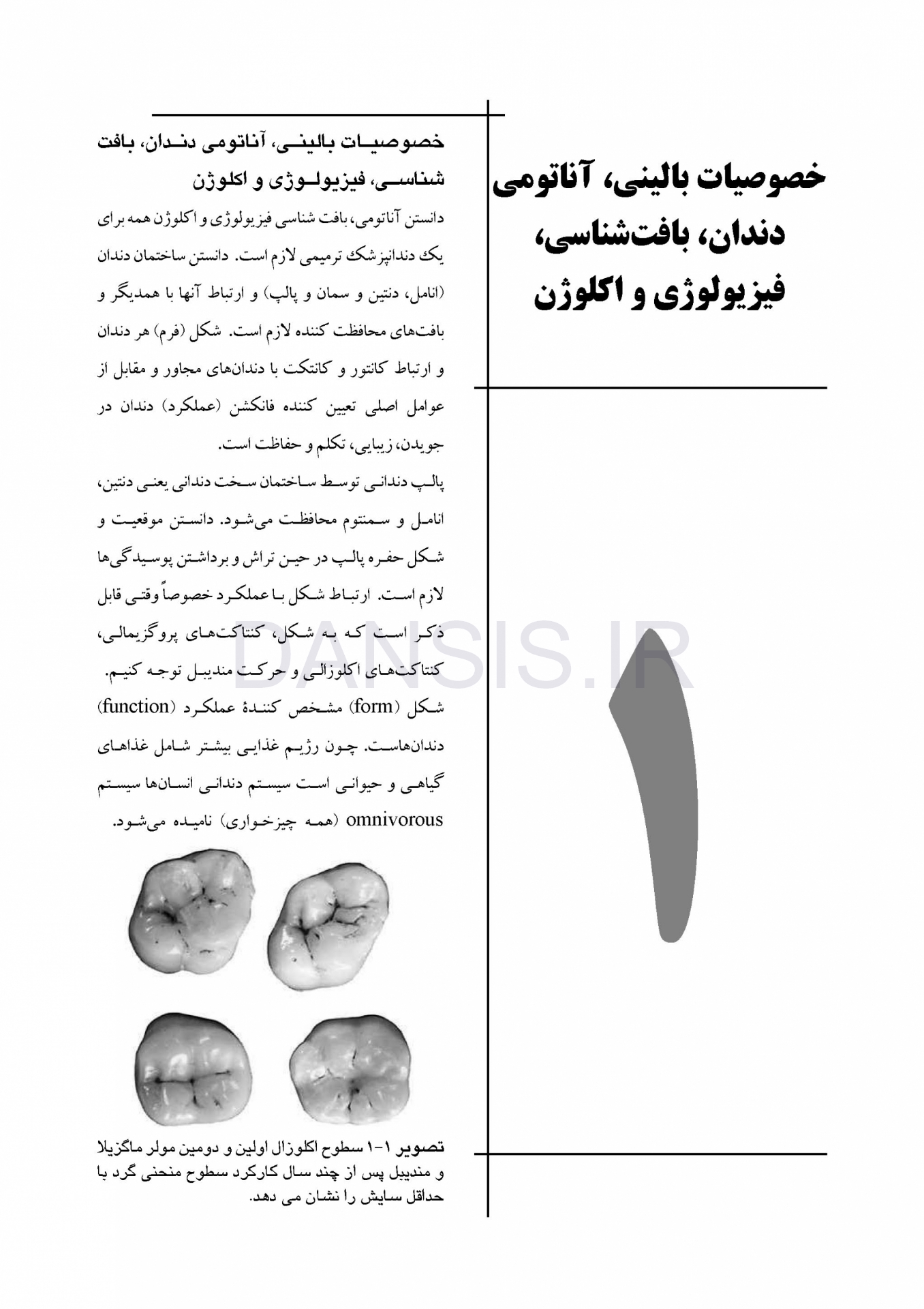 تصویر  CDR علم و هنر در دندانپزشکی ترمیمی 2019 (چکیده مراجع دندانپزشکی)