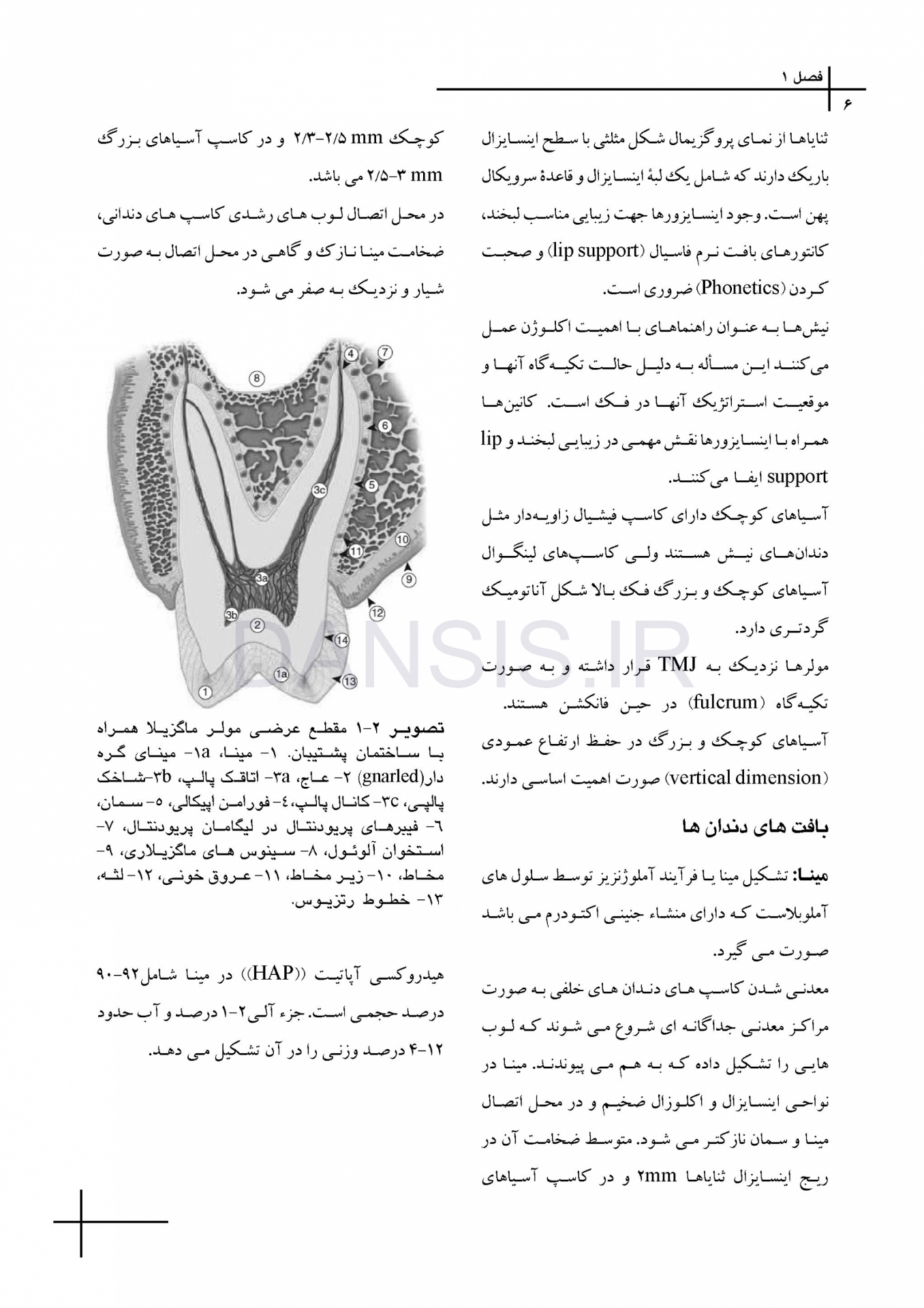 تصویر  CDR علم و هنر در دندانپزشکی ترمیمی 2019 (چکیده مراجع دندانپزشکی)