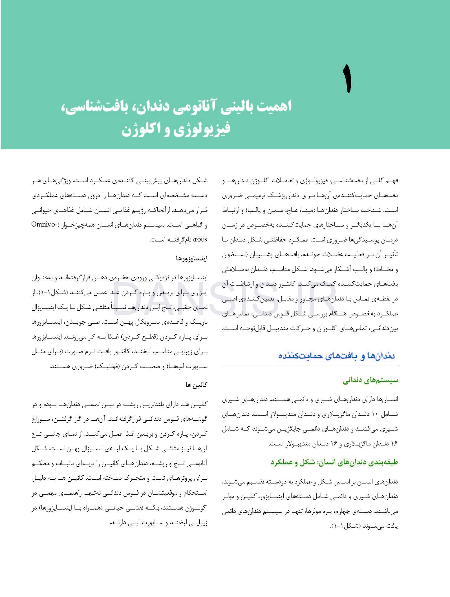 تصویر  علم و هنر در دندانپزشکی ترمیمی 2019 (تک جلدی) رنگی – دکتر خاموردی – دکتر بدریان