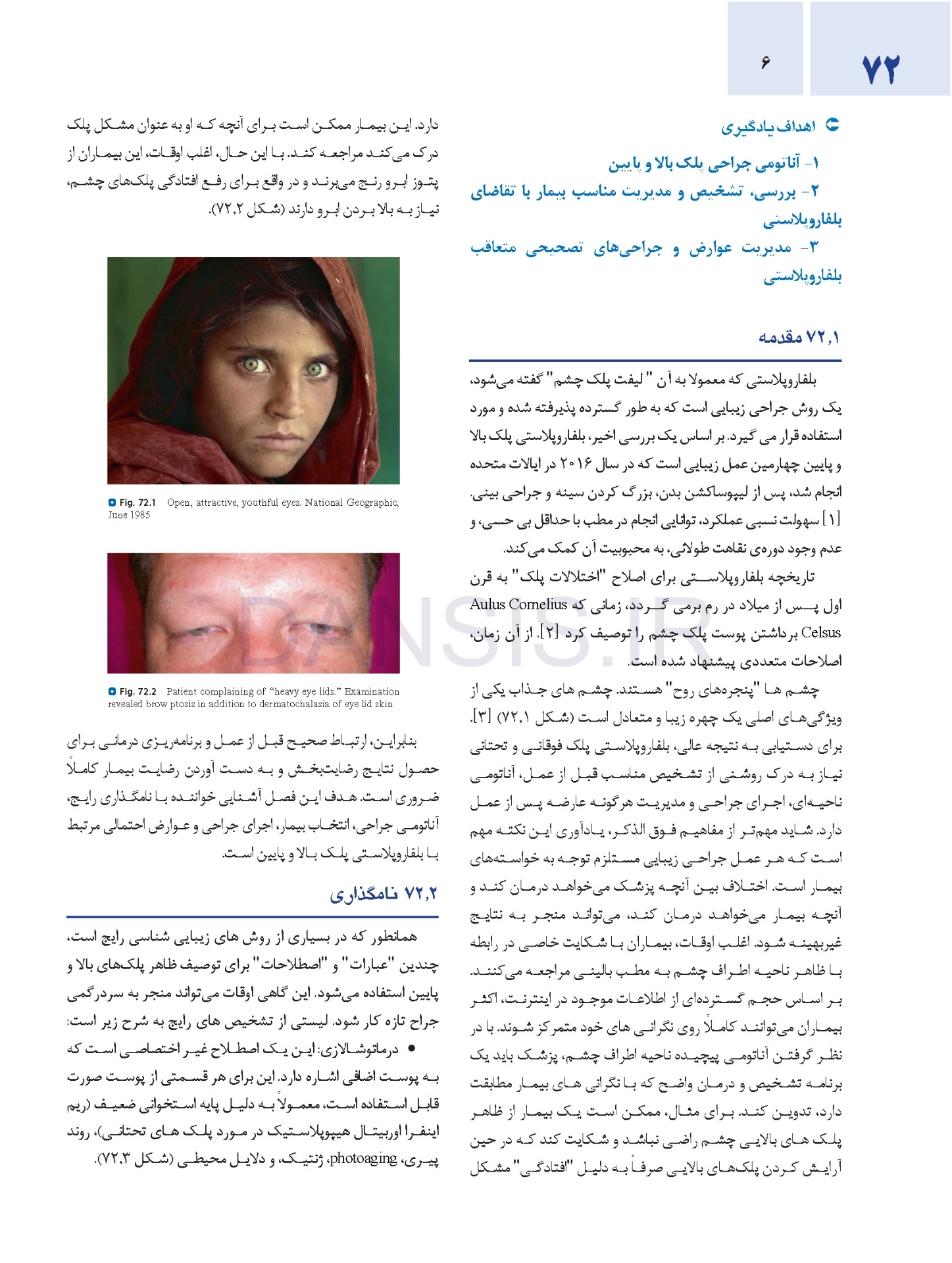 تصویر  اصول جراحی دهان، فک و صورت پیترسون 2022 زیبایی – جلد چهارم