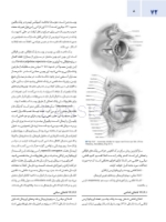 تصویر  اصول جراحی دهان، فک و صورت پیترسون 2022 زیبایی – جلد چهارم