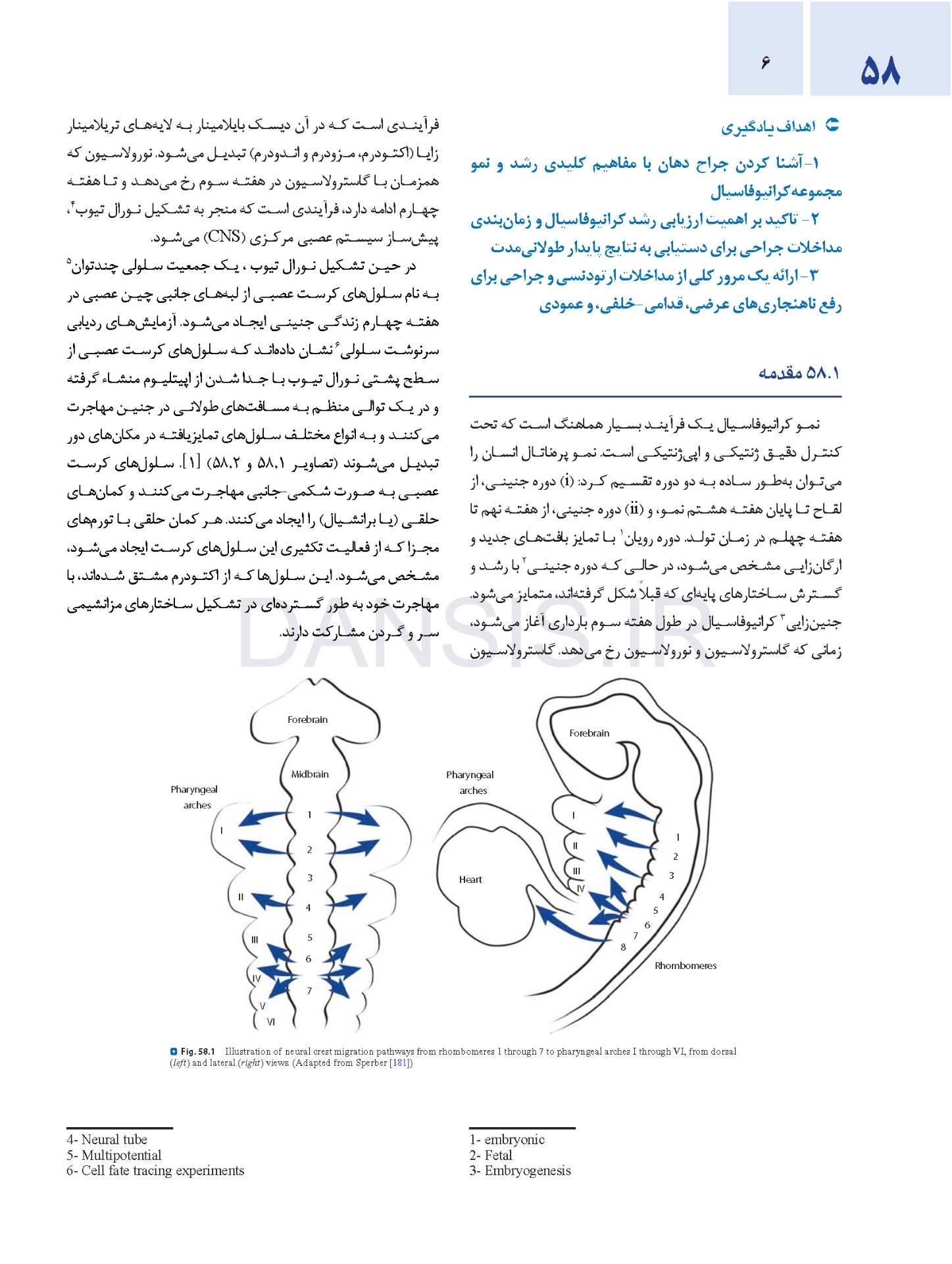 تصویر  اصول جراحی دهان، فک و صورت پیترسون 2022 ارتوگناتیک – جلد سوم