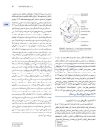 تصویر  اصول جراحی دهان، فک و صورت پیترسون 2022 ارتوگناتیک – جلد سوم