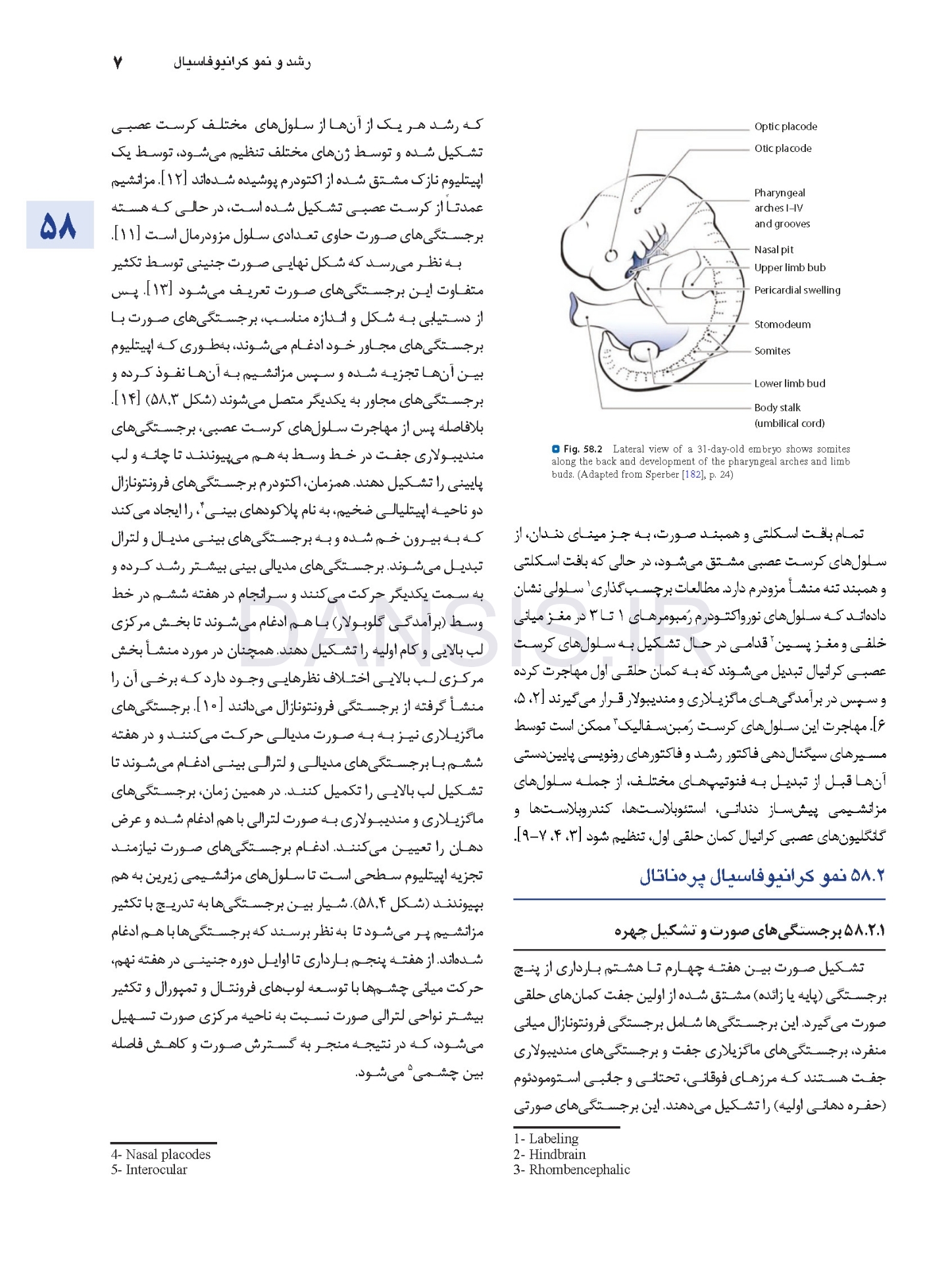 تصویر  اصول جراحی دهان، فک و صورت پیترسون 2022 ارتوگناتیک – جلد سوم