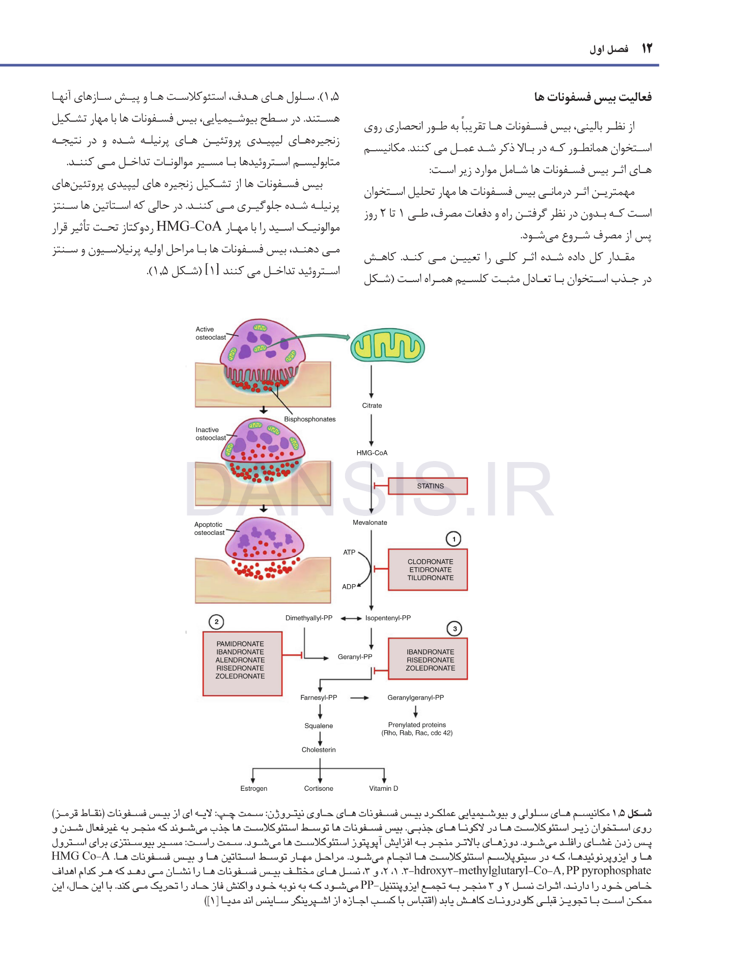 تصویر  استئونکروز فکین ناشی از مصرف داروها