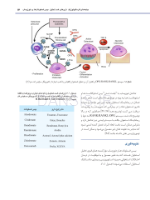 تصویر  استئونکروز فکین ناشی از مصرف داروها