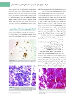 تصویر  جراحی دهان،فک و صورت فونسکا 2018 جلد هفتم (پاتولوژی)