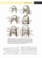 تصویر  جراحی دهان،فک و صورت فونسکا 2018 جلد ششم (جراحی شکاف و کرانیوفیشیال)
