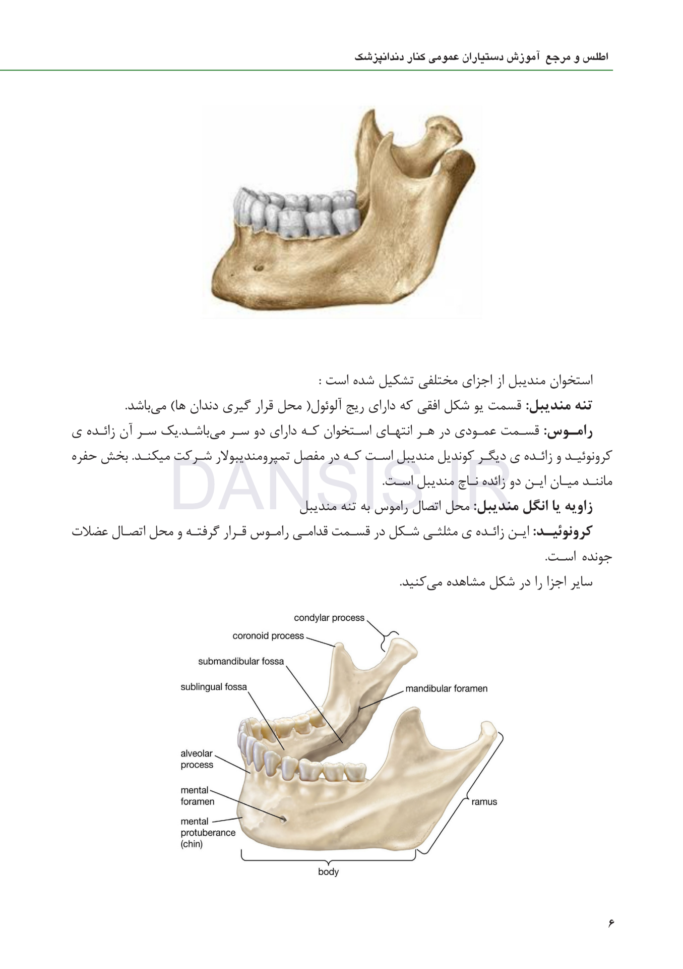 تصویر  اطلس و مرجع آموزش دستیاران عمومی کنار دندانپزشک