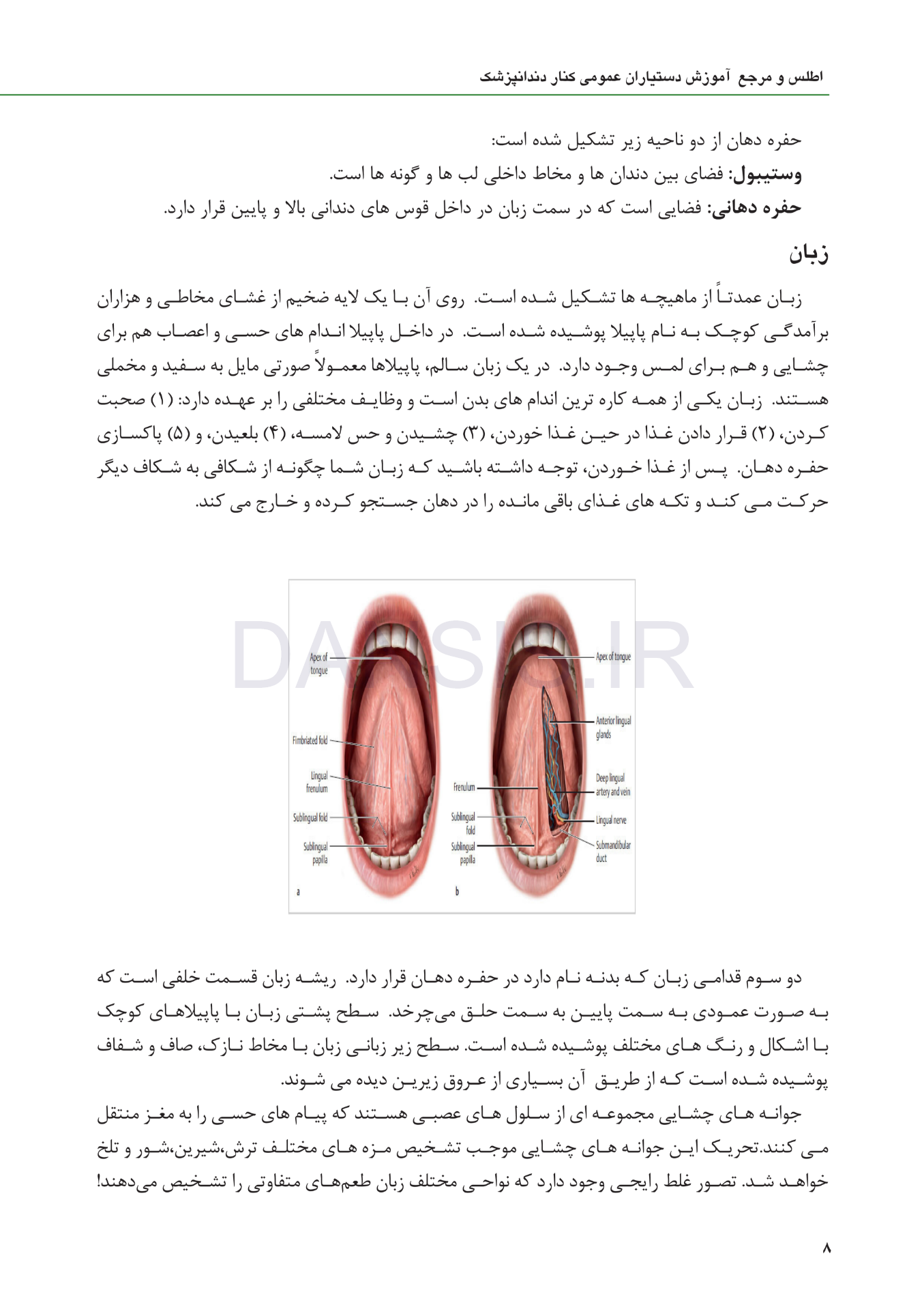 تصویر  اطلس و مرجع آموزش دستیاران عمومی کنار دندانپزشک