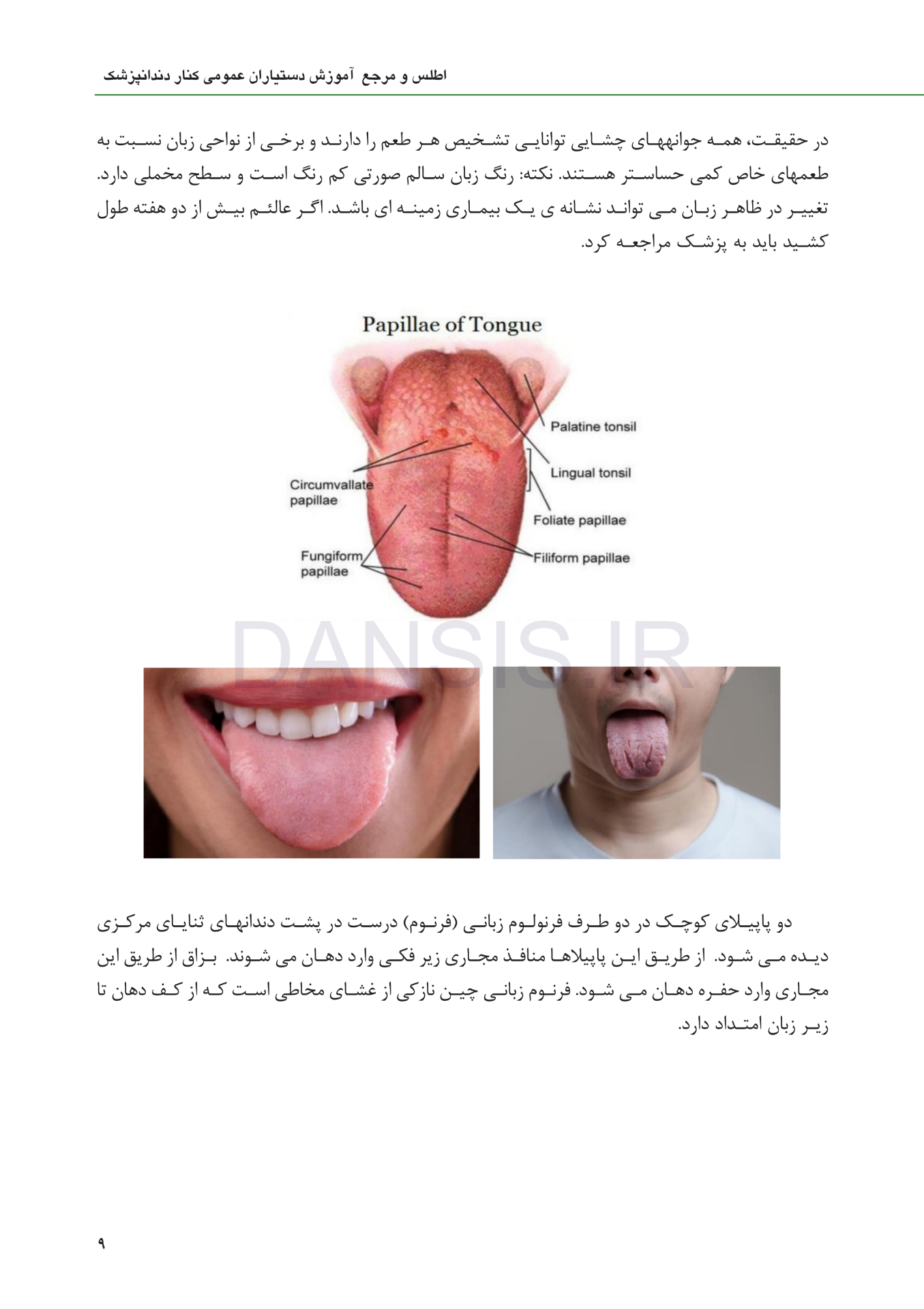 تصویر  اطلس و مرجع آموزش دستیاران عمومی کنار دندانپزشک