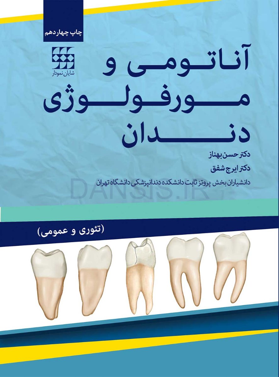 آناتومی-و-مورفولوژی-دندان.jpg