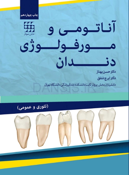 آناتومی-و-مورفولوژی-دندان.jpg