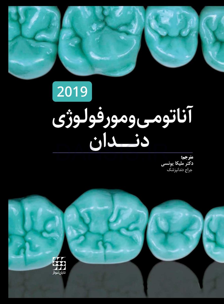 مورفولوژی.jpg