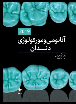 مورفولوژی.jpg