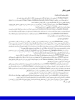 تصویر  آناتومی و مورفولوژی دندان 2019