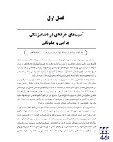 تصویر  دندانپزشکی بدون درد(روش های کاربردی برای پیشگیری از درد و بهبود عملکرد حرفه ای دندانپزشکان)