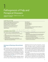 تصویر  ENDODONTICS PRINCIPLES AND PRACTICE 2021