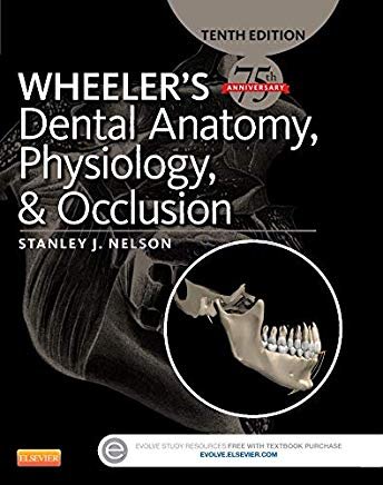 تصویر  WHEELER’S Dental Anatomy, Physiology, and Occlusion